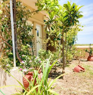 Yucca Studio, beautiful apartment with garden - Rapanianá - 4