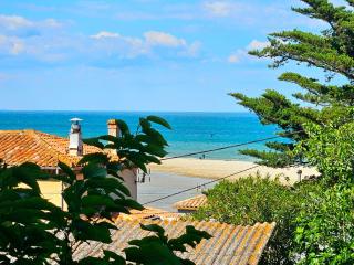 Villa des cèdres La Franqui - 6