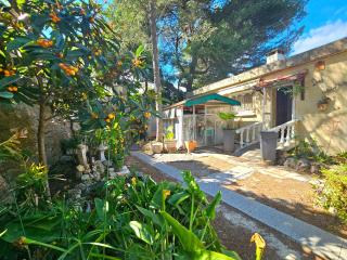 Villa des cèdres La Franqui - 0