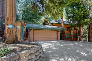 Everett Retreat - Idyllwild - 9