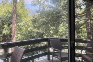 Everett Retreat - Idyllwild - 7