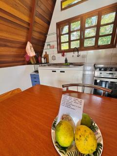 Chalé Kaa Puã Vista e Aconchego na Rota do Vinho - 2