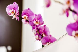 Brick House Treviso - 2