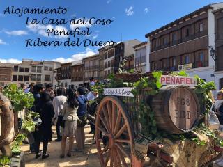 La Casa del Coso - Peñafiel - 8