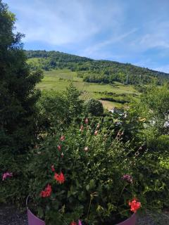 Le petit cocon - Cerdon - 5