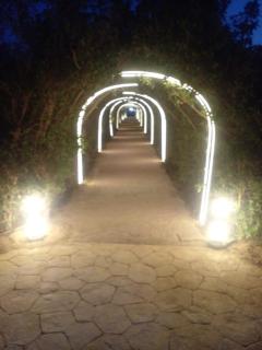 Fox house resort Apartment hotel - 5