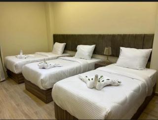 Mystic Giza Hotel - Le Caire - 3