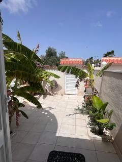 Bright Palm Chalet MSGN - Torrevieja - 8