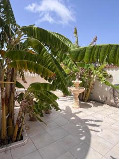 Bright Palm Chalet MSGN - Torrevieja - 9
