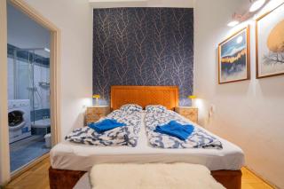 Vasvari Chic Hideaway Near the Opera House - Budapest - 8