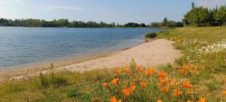 Ferienwohnung Coproyshof am See - Wesel - 8