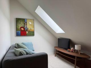 Heimby Homes - Four Bedroom Family Penthouse - Bergen - 5
