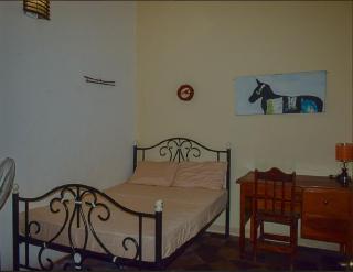 Casa Oasis Colonial - El Venado - 2