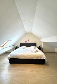 Cozy & Calm Apartment Perfect for ING Arena Events - Bruxelles - 3