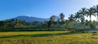 Nêst Guesthouse Tetebatu - Tetebatu - 6