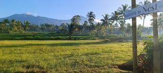 Nêst Guesthouse Tetebatu - 4