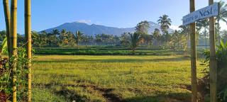 Nêst Guesthouse Tetebatu - 5