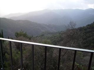 Casas Rurales Jardines del Visir - Genalguacil - 4