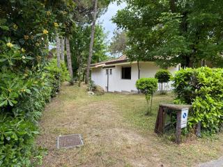 Villa Pineta - Oasi di Tranquillità a Due Passi dal Mare - 2