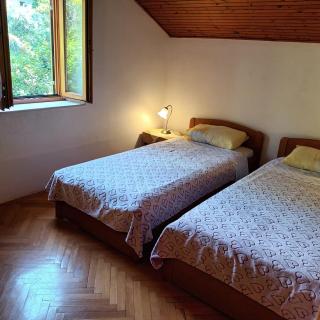 Apartments by the sea Cavtat, Dubrovnik - 24545 - Cavtat - 1