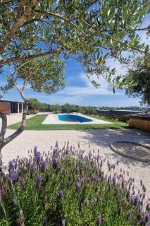 Family-friendly apartments with swimming pools Pirovac, Sibenik - 24497 - Pirovac (Slosella) - 4