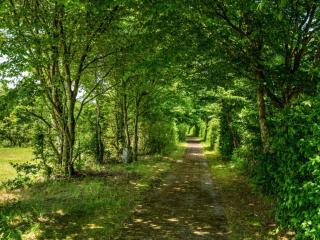 4 person holiday home in Hampen - 2