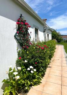 Casa do Pomar, Castanheira de Pera - Castanheira de Pêra - 9
