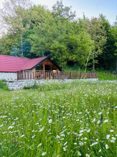 Montenegro Rustic House II -  - 6
