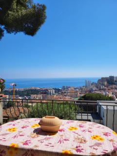 Appartement dans villa provençale avec terrain de boules vue imprenable sur monaco - Beausoleil - 0
