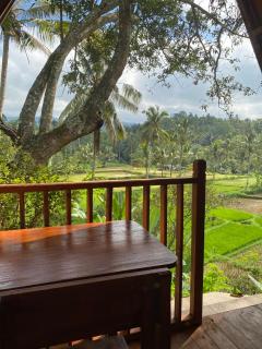 Forest Side bungalow - Tetebatu - 3