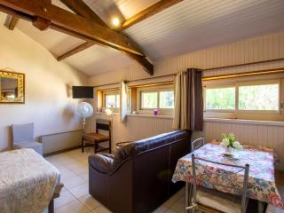 Studio confortable avec jardin, près de Sarlat et des plus beaux villages de France - FR-1-616-25 - La Roque-Gageac - 4