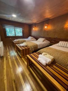 Illi Lodge y Hostel - Ranco - 8