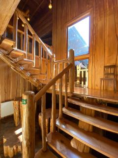 Illi Lodge y Hostel - Ranco - 3
