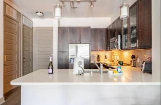 Apartment in Downtown Houston Free Parking - Houston - 2