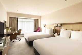 Hilton London Metropole - Londres - 0