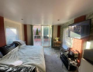 Studio-Sleeps 2 free parking-garden-near shops - Bristol - 2