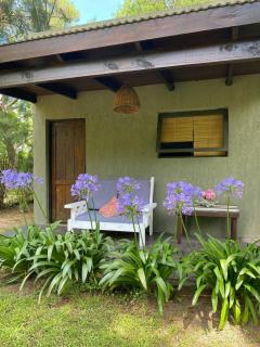 Cabañas Entre Pinos. Cerca de la Playa - Costa del Este - 9