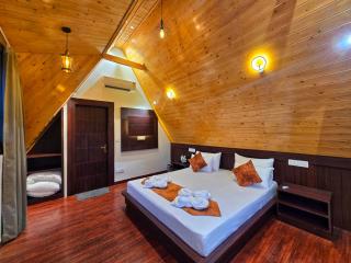 Musical Paradise - Kasauli - 1