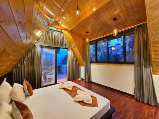 Musical Paradise - Kasauli - 2