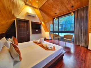 Musical Paradise - Kasauli - 7