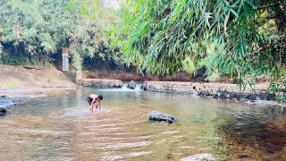 White Fort Holiday Home - Vythiri - 1