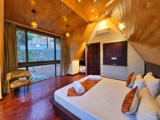 Musical Paradise - Kasauli - 6