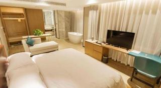 Borrman Hotel Liuzhou Guizhong Avenue Liugao - Liuzhou - 1