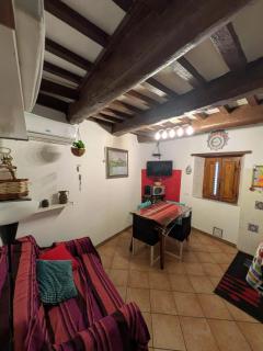 Petite Maison Green - Aramo - 6