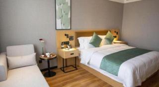 Green Tree Inn Hebei Handan Guantao County Weizheng Road - Guantao - 4