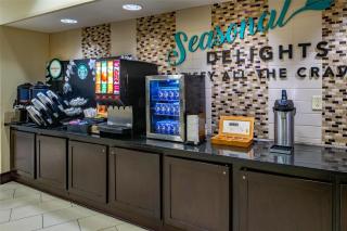 Embassy Suites by Hilton St Louis Airport - Bridgeton - 6