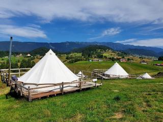 Fantastic Glamping Resort for Unique Getaways in Romania - 8