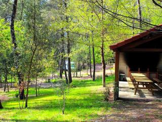 Gorgeous Glamping Tipi near Ponte da Barca in the North of Portugal - 1