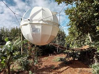 Suspended Dome Glamping on Terceira Island for the Ultimate Azores Adventure - 1