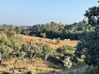 Eco-Friendly Cabin Perfect for a Relaxing Escape in Portugal - 3